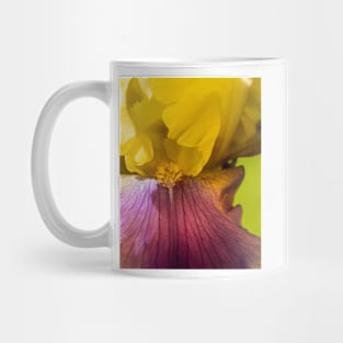 Golden Iris 3 Mug